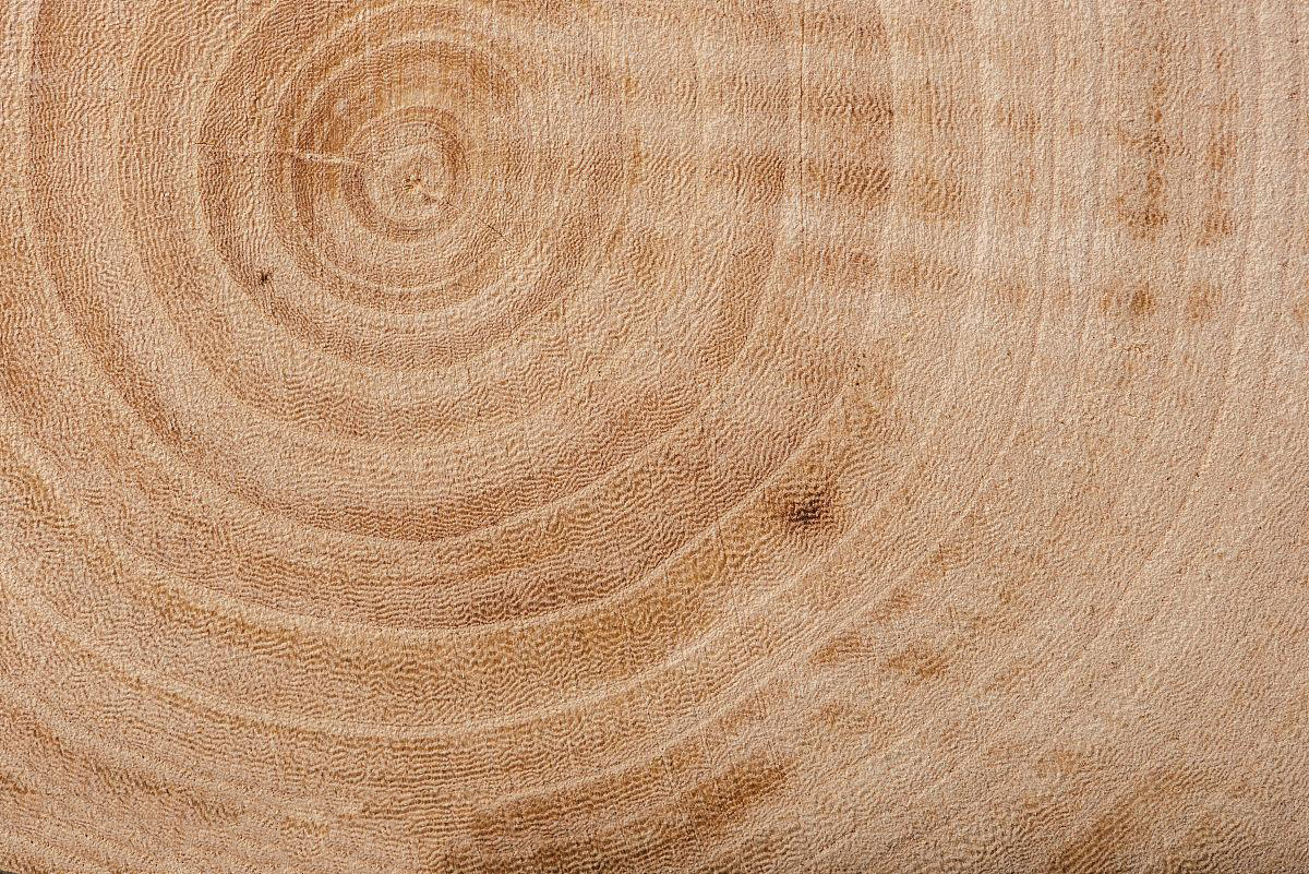 木材材质AI识别效果展示